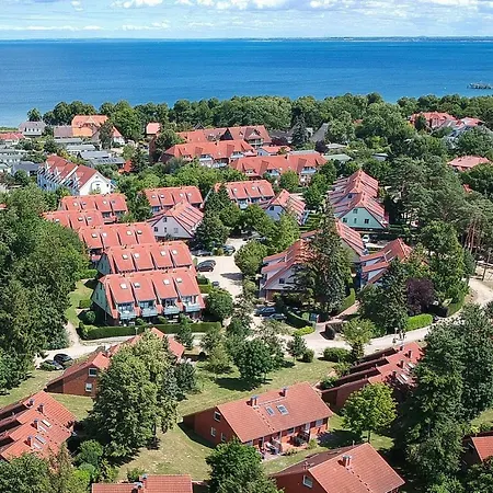 Papillon 03-8 Boltenhagen (Ostseebad)